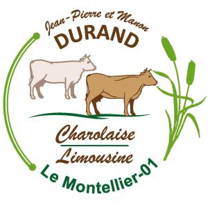 Logo2