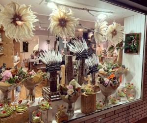 Vitrine pdt confinement 2 b