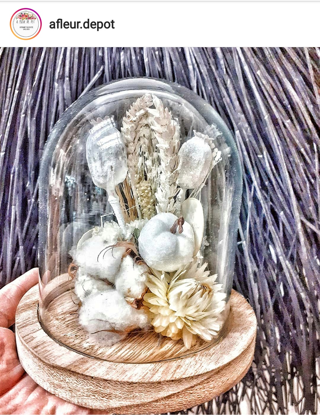 Cloche de fleurs sechees